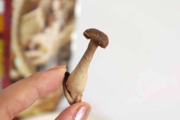 きのこスナック