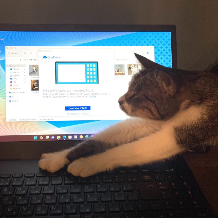 “ネコハラ”を受けられるコワーキングスペース