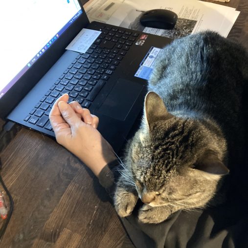 営業時間は15:00～21:00