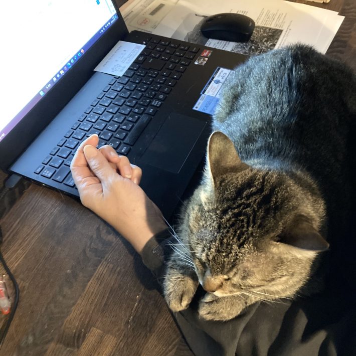 営業時間は15:00～21:00