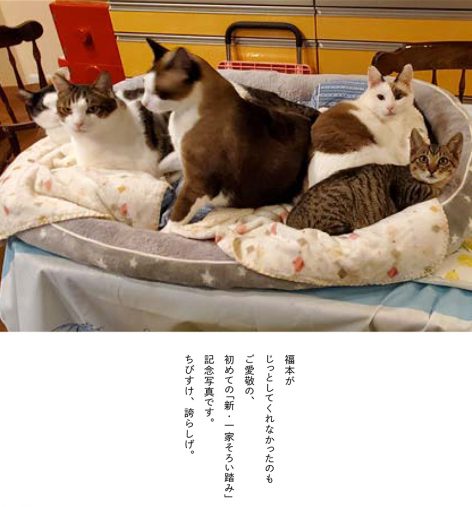 ちびすけ、家族の一員になる