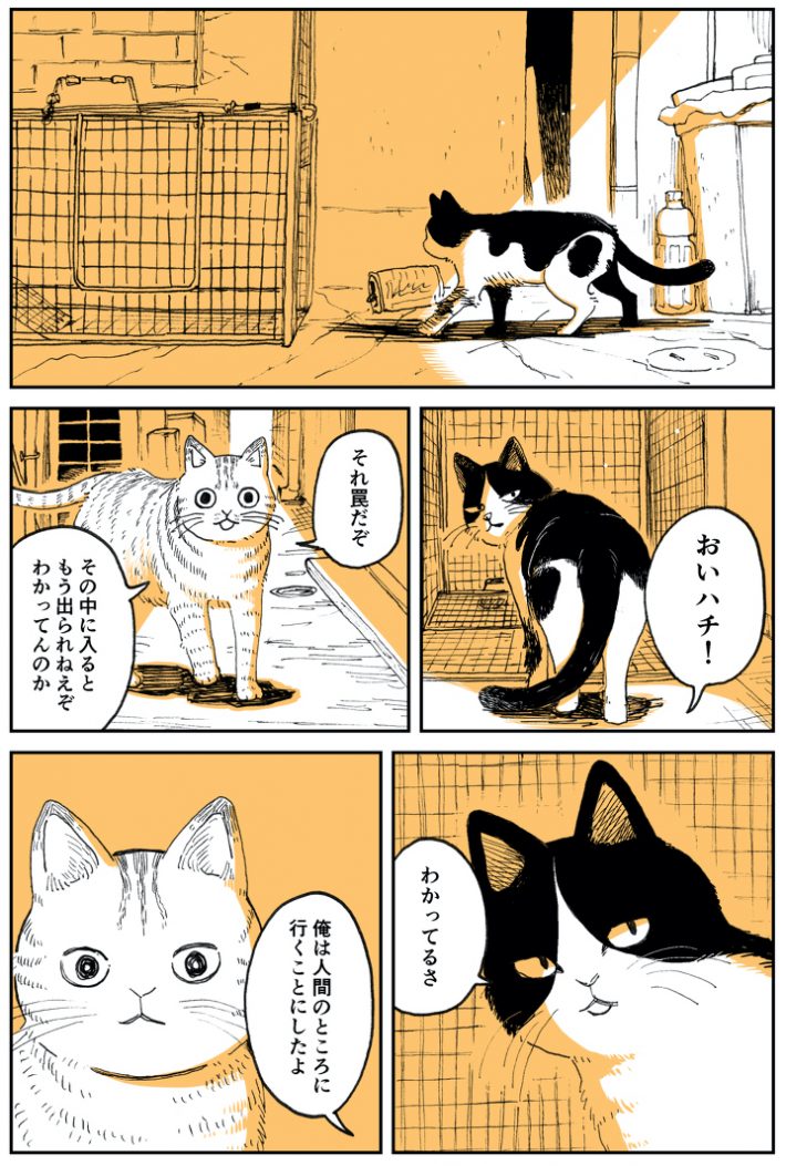 『野良のボス猫が保護されようとする話』1
