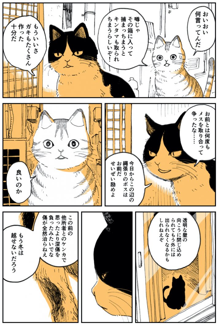 『野良のボス猫が保護されようとする話』2
