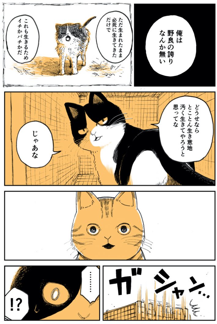 『野良のボス猫が保護されようとする話』3