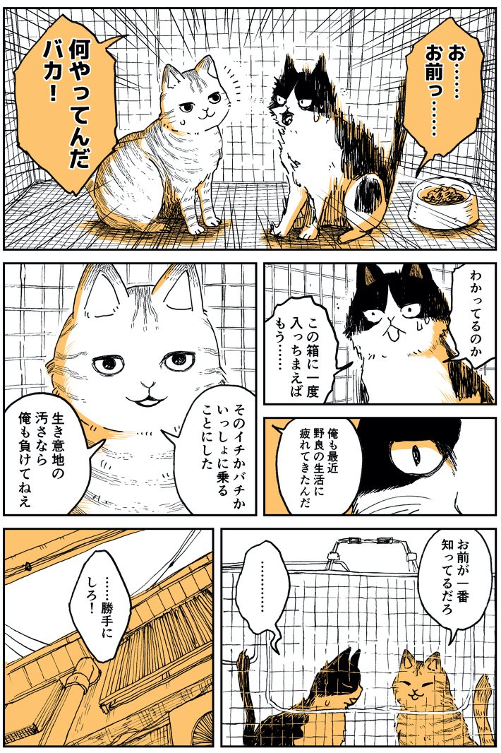 『野良のボス猫が保護されようとする話』4