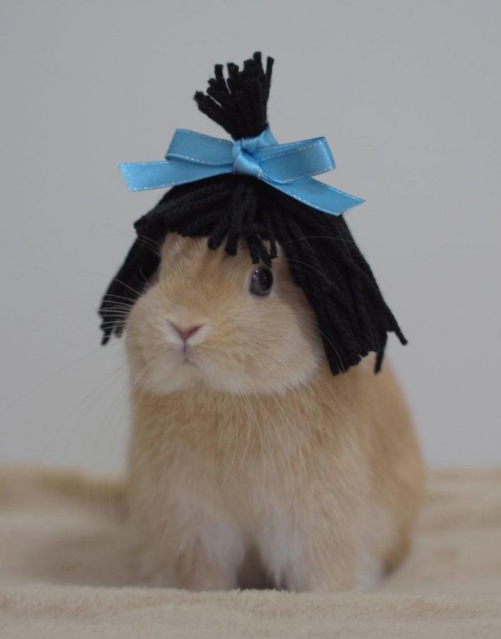 おかっぱジミーちゃん