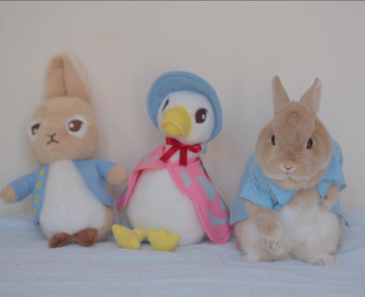 まさにピーターラビットの世界…！