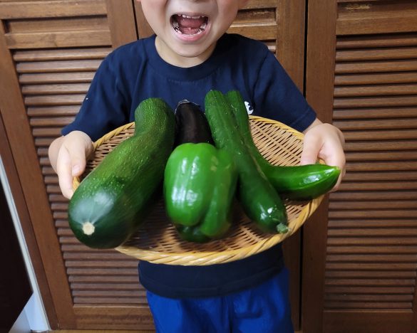 保育園の遠足で収穫してきた野菜を数えたり、重さを測ったり。親はどう寄り添うべき?