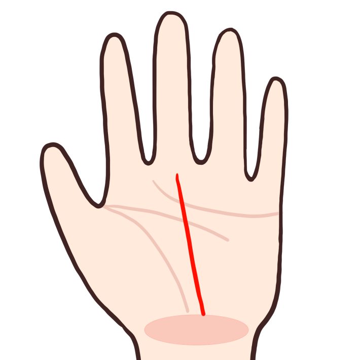 将来安泰　手相