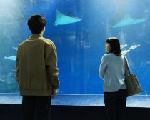 『あなたがしてくれなくても』