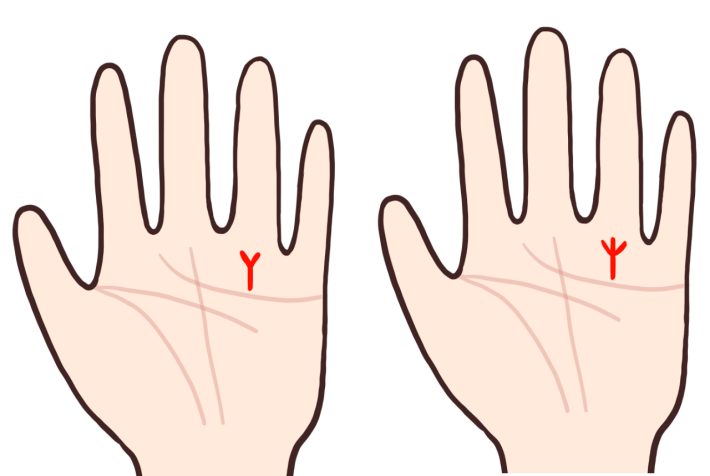 将来安泰　手相