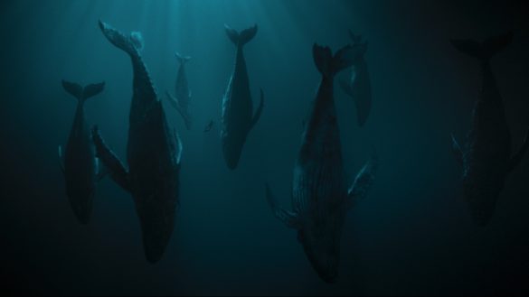 人類は、海（地球）の代弁者に滅ぼされるのか？