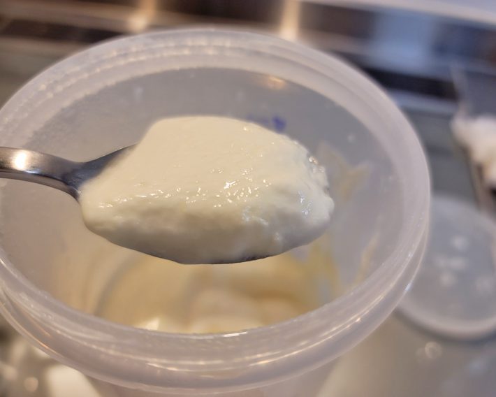 室温で30時間放置した状態。ヨーグルトが完成しました