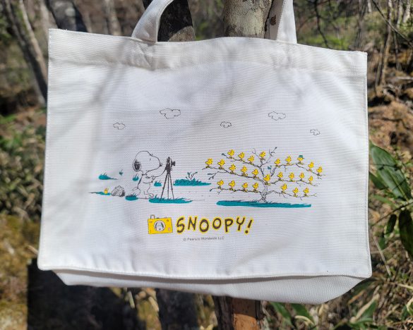 バッグに描かれているのは、写真撮影のワンシーン