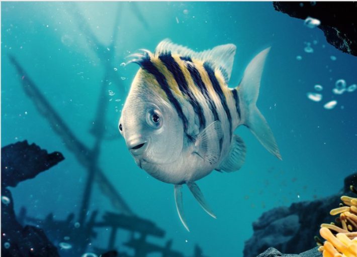 実写版『リトル・マーメイド』のフランダー