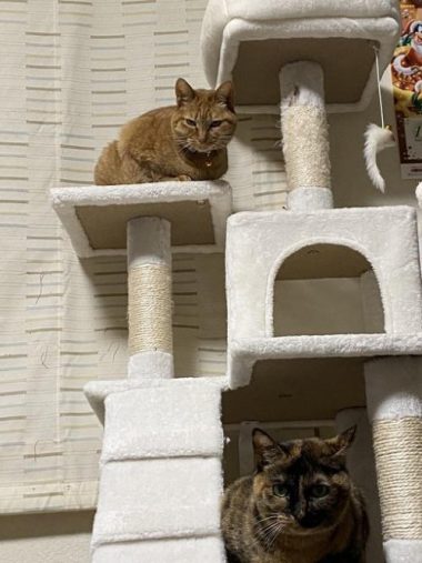 くつろぐ姿が愛おしい