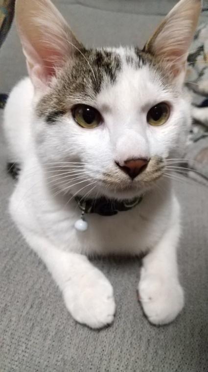 “甘えモード”も発揮してくれるように