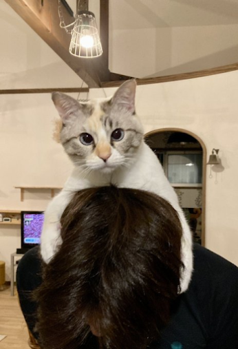 ルールーちゃん