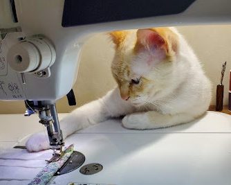 おだしまゆきえさんの猫