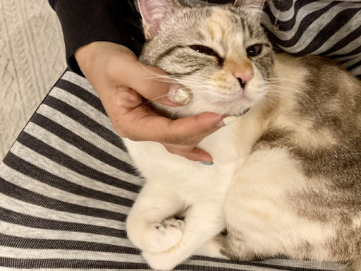 ルールーちゃん