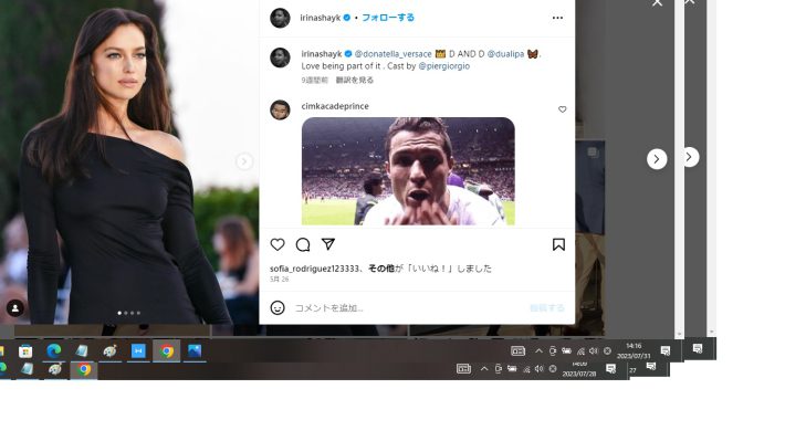 イリーナ・シェイク