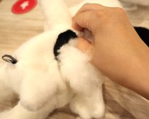 スヌーピー　ワークショップ