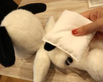 スヌーピー　ワークショップ