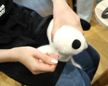 スヌーピー　ワークショップ