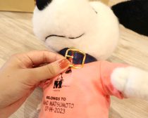 スヌーピー　ワークショップ