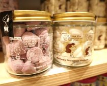 スヌーピー　ミュージアム