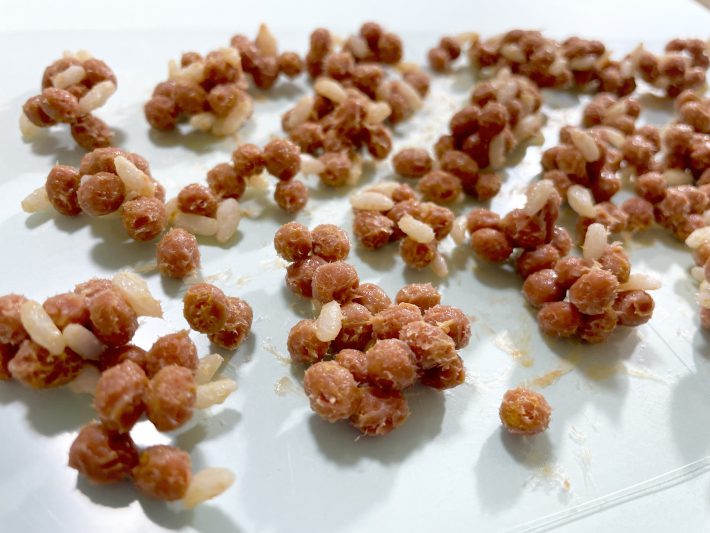 思いのほかリアルで気持ち悪い納豆ご飯
