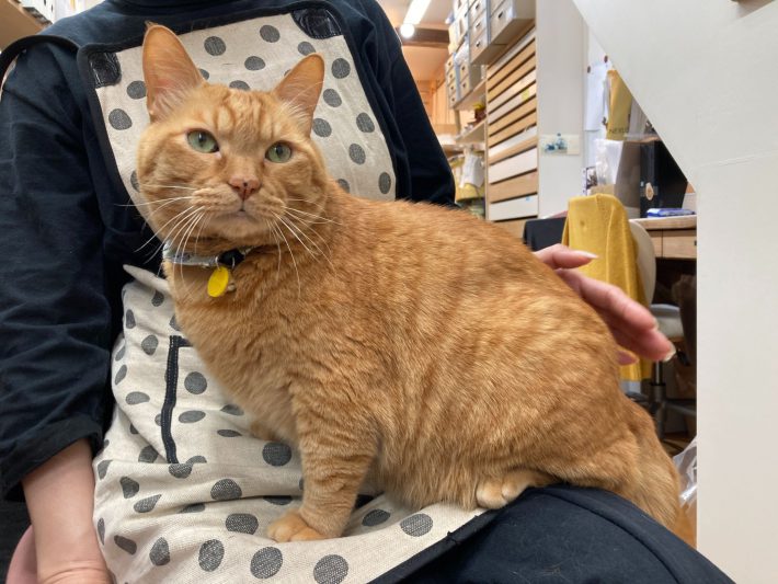 浅草革小物Kanmi.