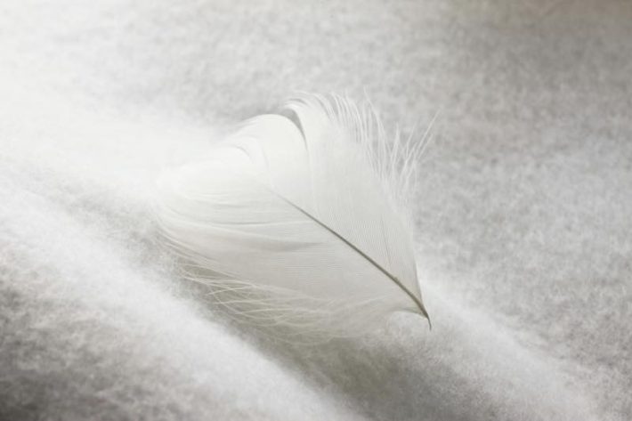 親子三代勧誘沼202310