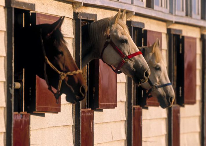 親子三代勧誘沼202310