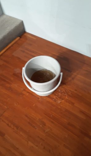 舞台上部から降った水がバケツに溜まった様子。水は茶色い（2022年9月24日）