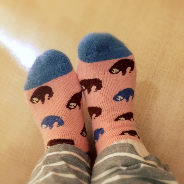 入院で足が冷えるので買ったナマケモノ靴下