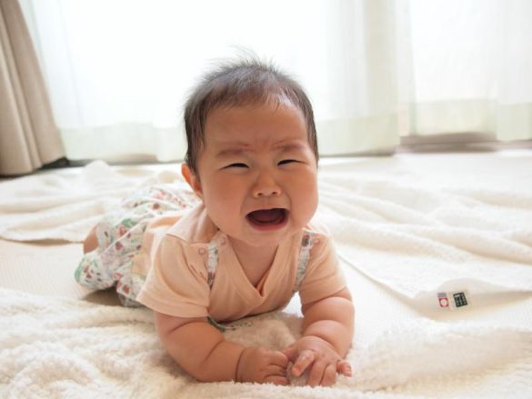 絵本作家のぶみ202401