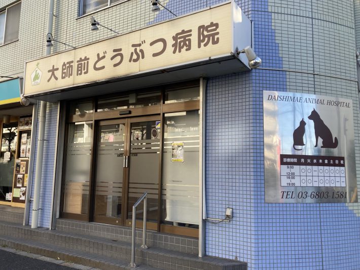 病院猫＿大師前どうぶつ病院