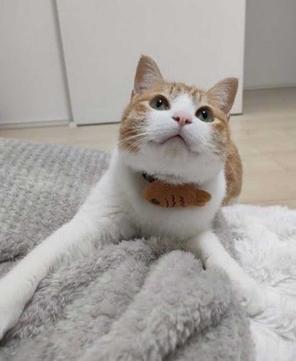 チョロすけくん