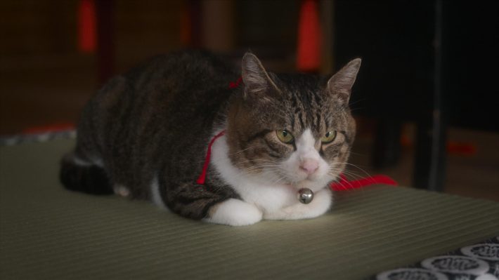 『光る君へ』第8回　（C）NHK