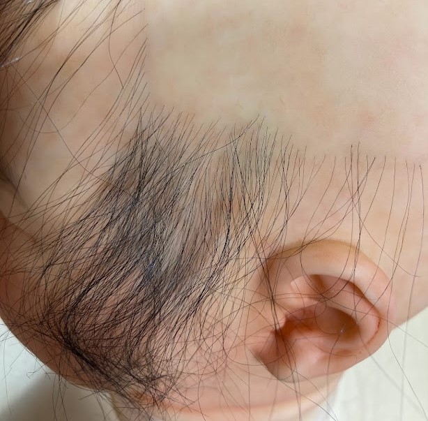 1本1本丁寧に植毛する