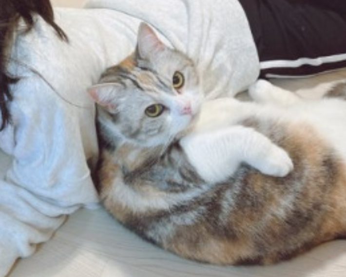 シャロンちゃん