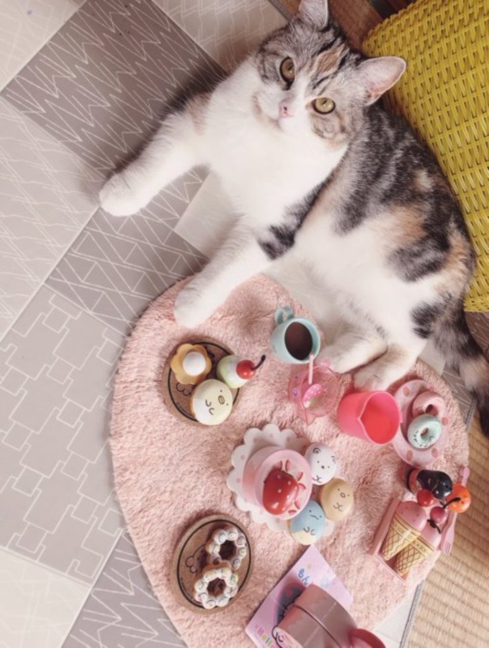 シャロンちゃん