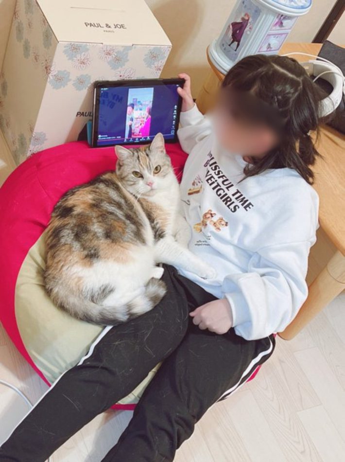 シャロンちゃん