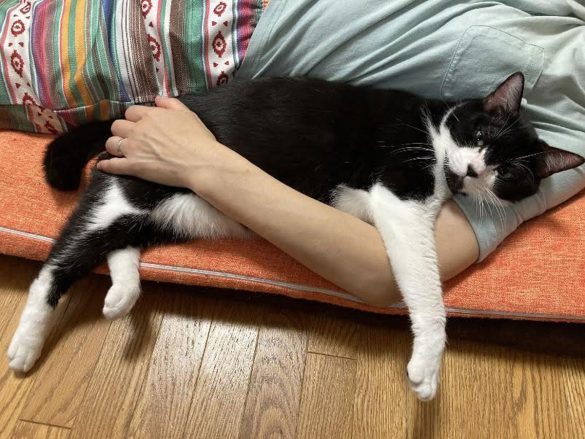 タイショーくん