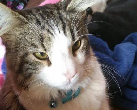 ティファちゃん