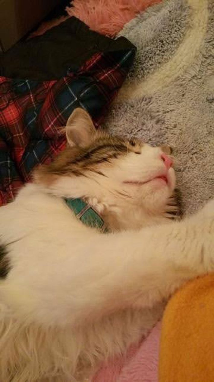 ティファちゃん