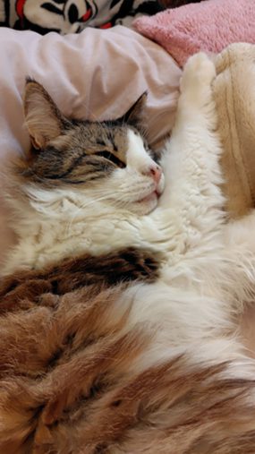 ティファちゃん