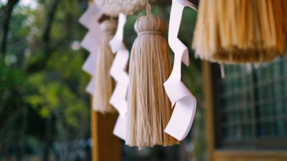 巫女資格沼202405