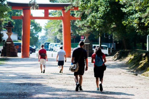 巫女資格沼202405